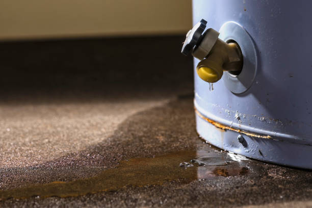 Best Professional water damage repair  in Rheems, PA
