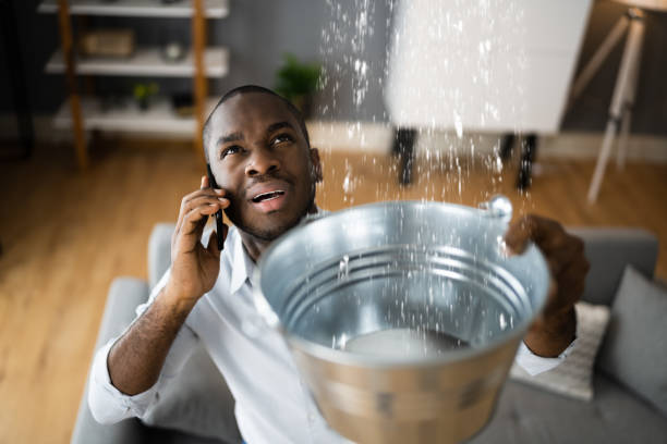 Best Flooded house restoration  in Rheems, PA