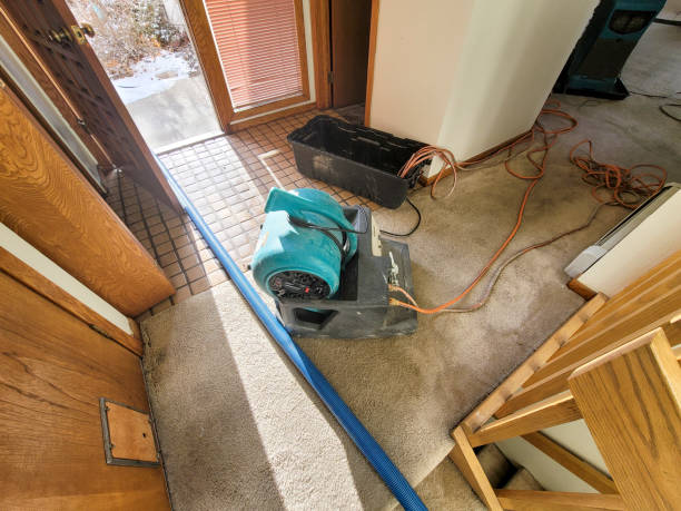 Best Carpet water damage restoration  in Rheems, PA