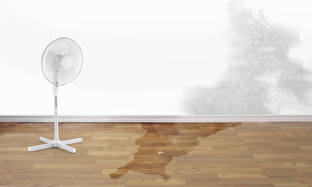 Best 24/7 water damage repair  in Rheems, PA