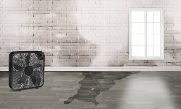 Water damage restoration mold remediation in Rheems, PA