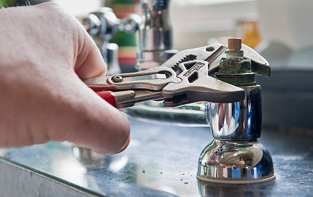 Best Water damage restoration mold remediation  in Rheems, PA