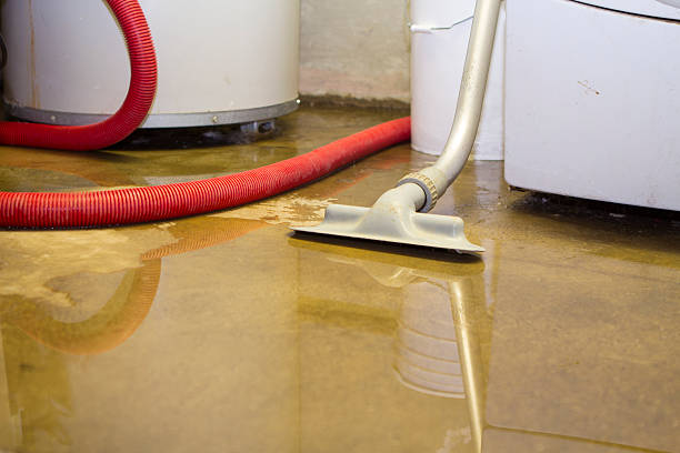 Best Fire Damage Restoration  in Rheems, PA