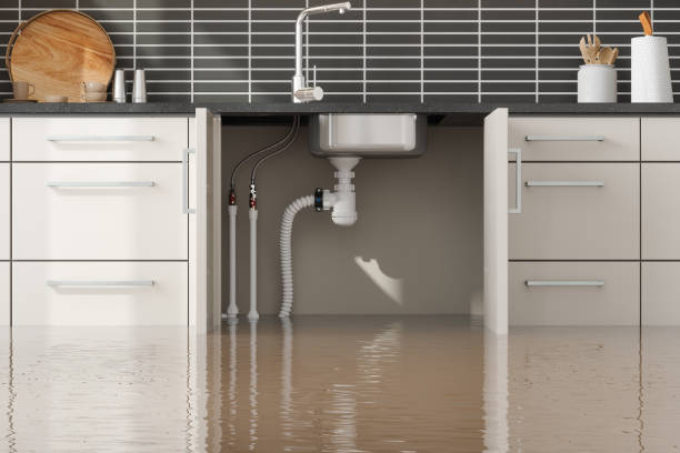 Best 24/7 water damage repair  in Rheems, PA